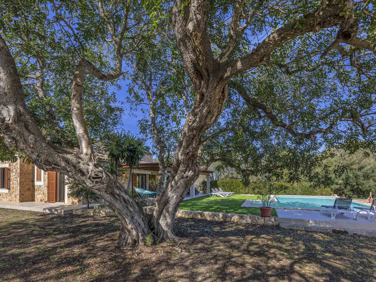Gîte moderne 6 pers., piscine privée – Ariany - Photo 24