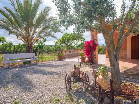 Gîte 4 pers. avec piscine privée 6x3 à Santa Margalida : photo 22