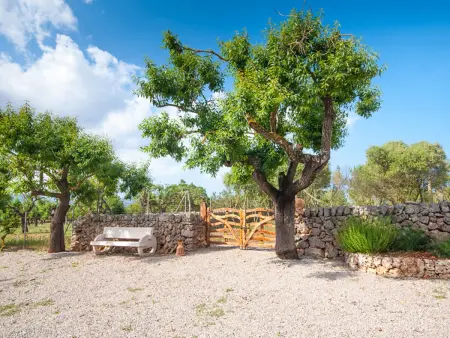 Gîte 4 pers. avec piscine privée 6x3 à Santa Margalida : photo 29