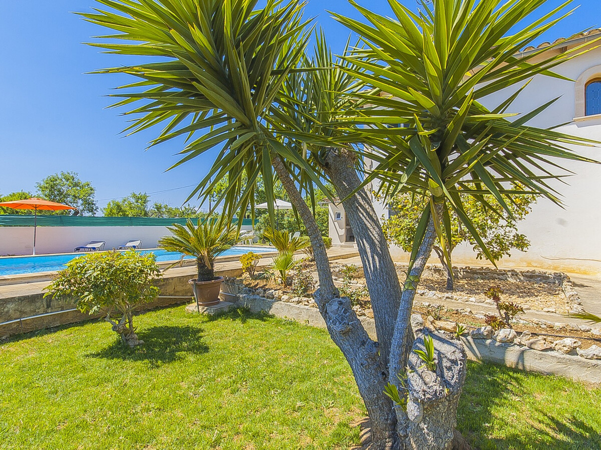 Gîte lumineux 8 pers. avec piscine 8x4 à Lloseta - Photo 7