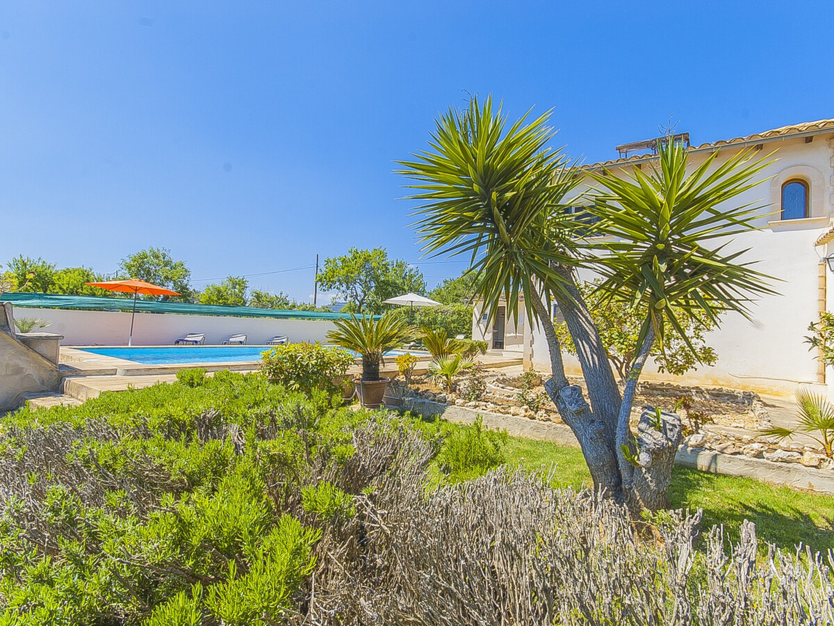 Gîte lumineux 8 pers. avec piscine 8x4 à Lloseta - Photo 9