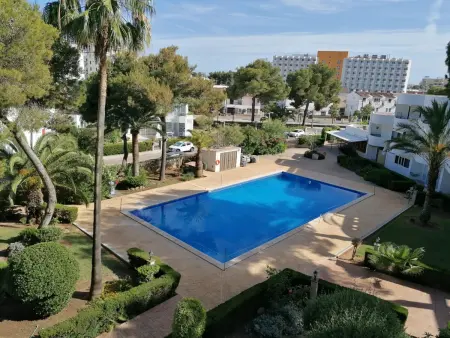 Appartement 40 m² vue jardin et piscine à Alcúdia : photo 31