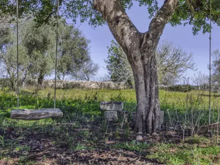 Gîte 8 pers. avec piscine privée à Santa Margalida : photo 26