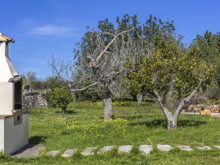 Gîte 8 pers. avec piscine privée à Santa Margalida : photo 27