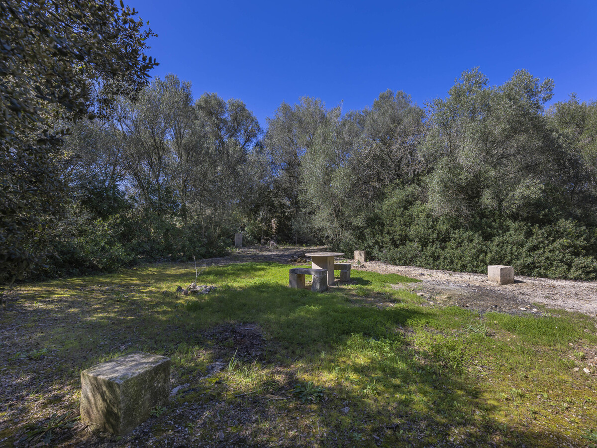 Gîte Costitx 3 ch, piscine 8x4 m, vue montagne - Photo 18