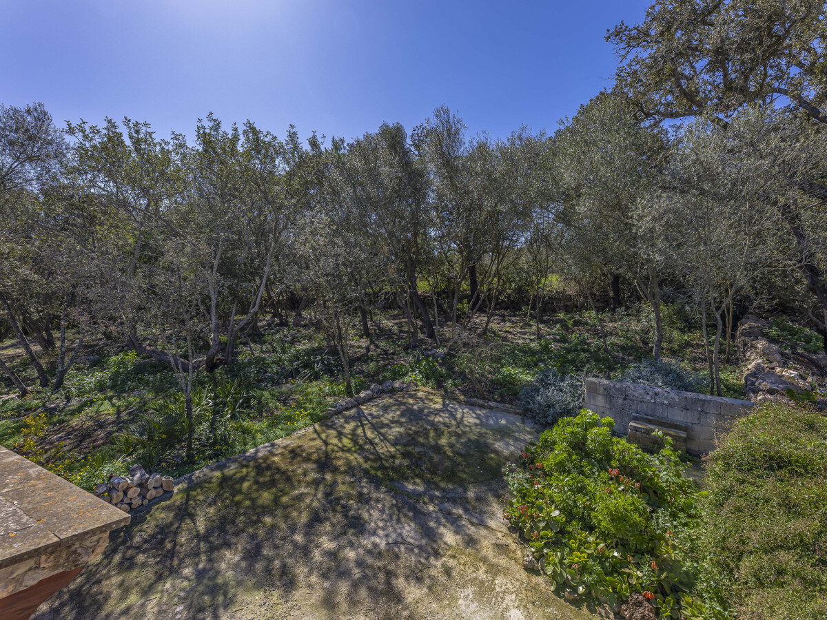 Gîte Costitx 3 ch, piscine 8x4 m, vue montagne - Photo 22