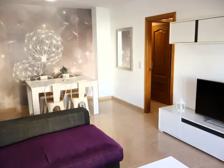 Appartement 2 ch, centre Peñiscola, 150 m plage : photo 12