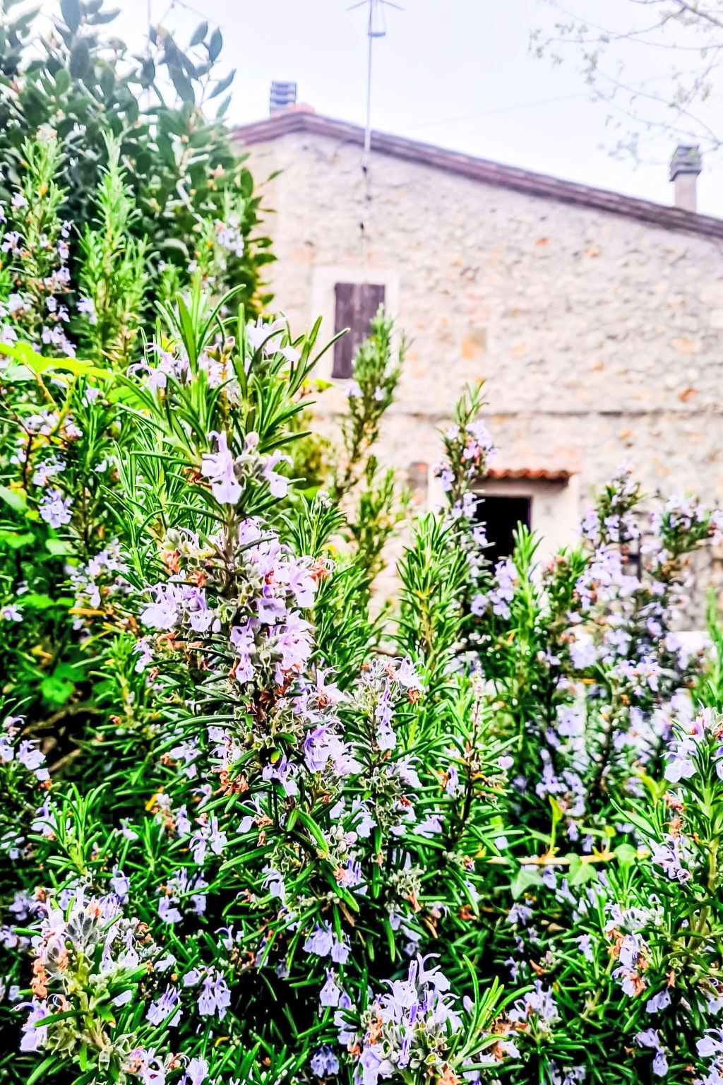 Shelter in the Heart of Tuscany – Maison Prata - Photo 32