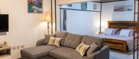 Appartement vue lac et montagne avec terrasse à Cilaos : photo 8