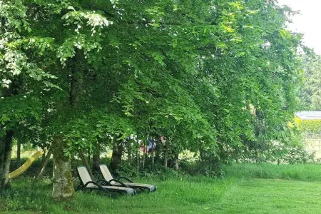Maison 8 personnes aux portes des Hautes Fagnes : photo 20