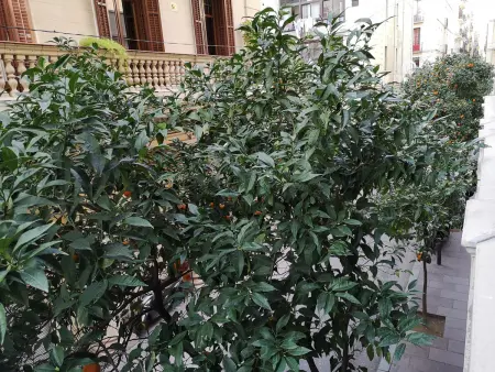 Appartement 40m² centre Barcelone, près Passeig de Gracia : photo 11