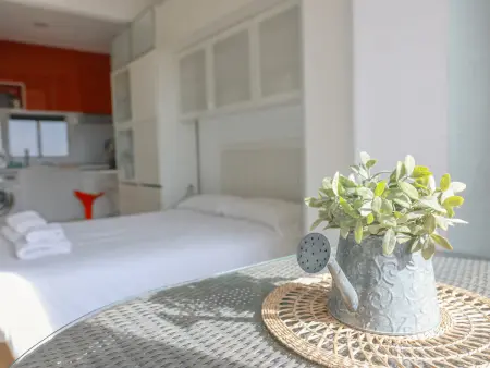 Studio 30m² avec terrasse 20m² - Barcelone centre : photo 13