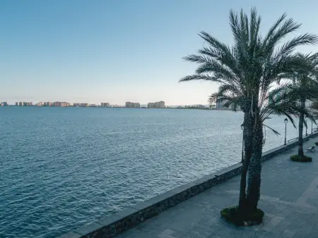 Appartement vue mer front de plage à San Javier : photo 23