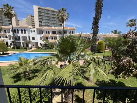 Appartement 6 pers. à La Manga, terrasse jardin et piscine : photo 3
