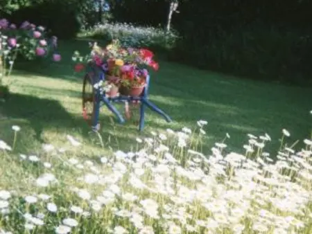 Gîte 4 pers. Aingeville avec jardin et terrasse couverte : photo 14