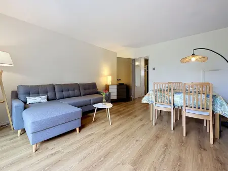 Appartement 2 pièces à 300 m de la plage, Carnac : photo 7
