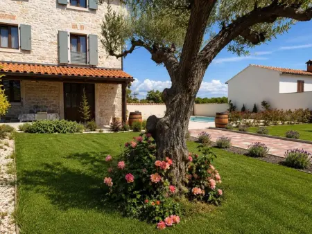 Maison Dariocchi à Kaštelir, piscine privée : photo 3