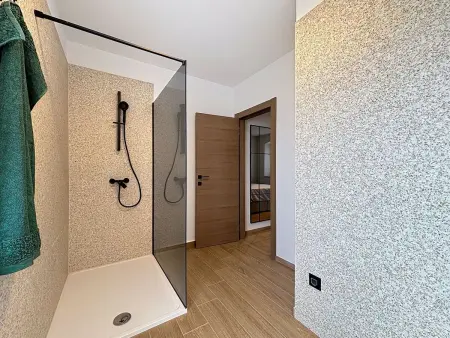 Maison Dariocchi à Kaštelir, piscine privée : photo 31
