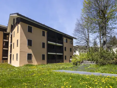 Il Bassotto, apt 80 m² à 250 m des pistes : photo 22