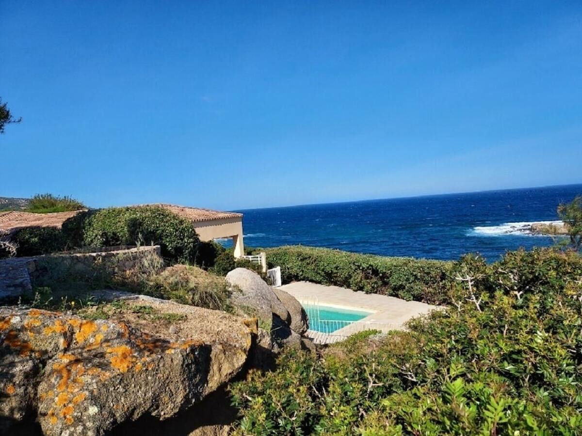 Villa 3 chambres piscine à 2 min de plage, Corbara - Photo 13