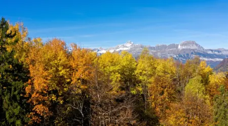 Studio 20 m² vue montagne et terrasse privée à Saint-Gervais-les-Bains : photo 35