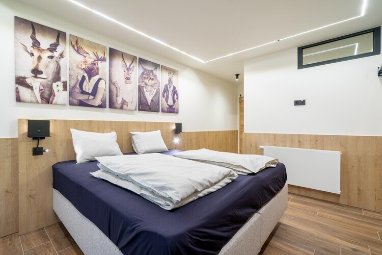 Gîte DDS - Maison 24 pers., sauna et salle de cinéma - Photo 5