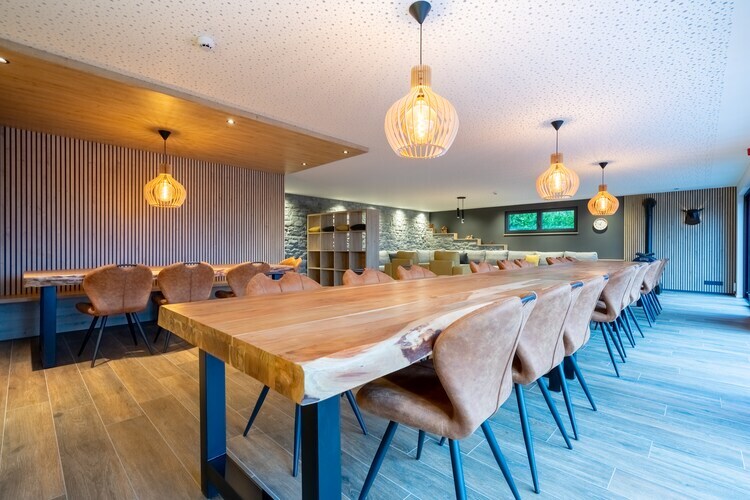 Gîte DDS - Maison 24 pers., sauna et salle de cinéma - Photo 13