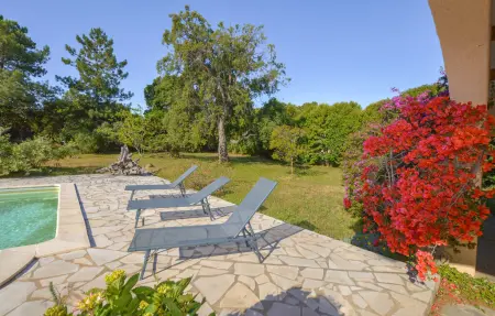 Maison 10 personnes avec piscine privée en Corse : photo 15