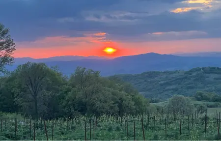 Casa Vacanze Monte Amiata, maison Stribugliano 5 pers. : photo 19
