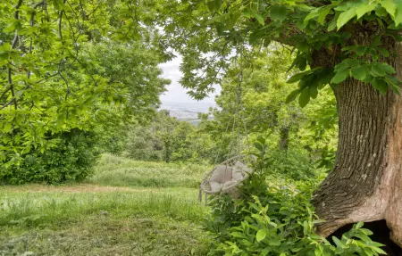 Casa Vacanze Monte Amiata, maison Stribugliano 5 pers. : photo 28