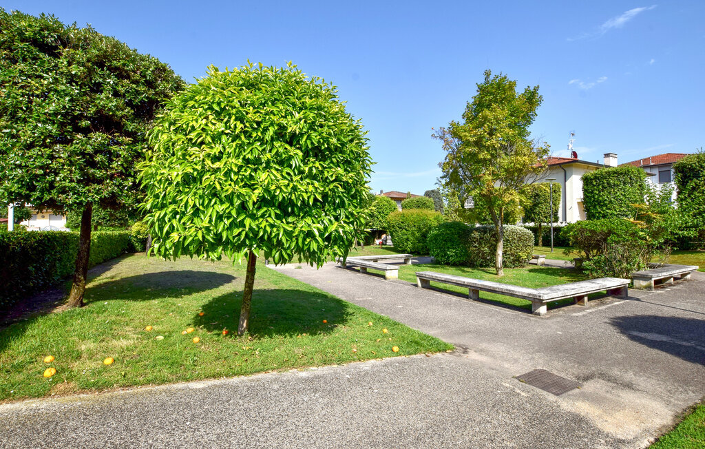 Maison 2 chambres avec jardin à Lido di Camaiore - Photo 15