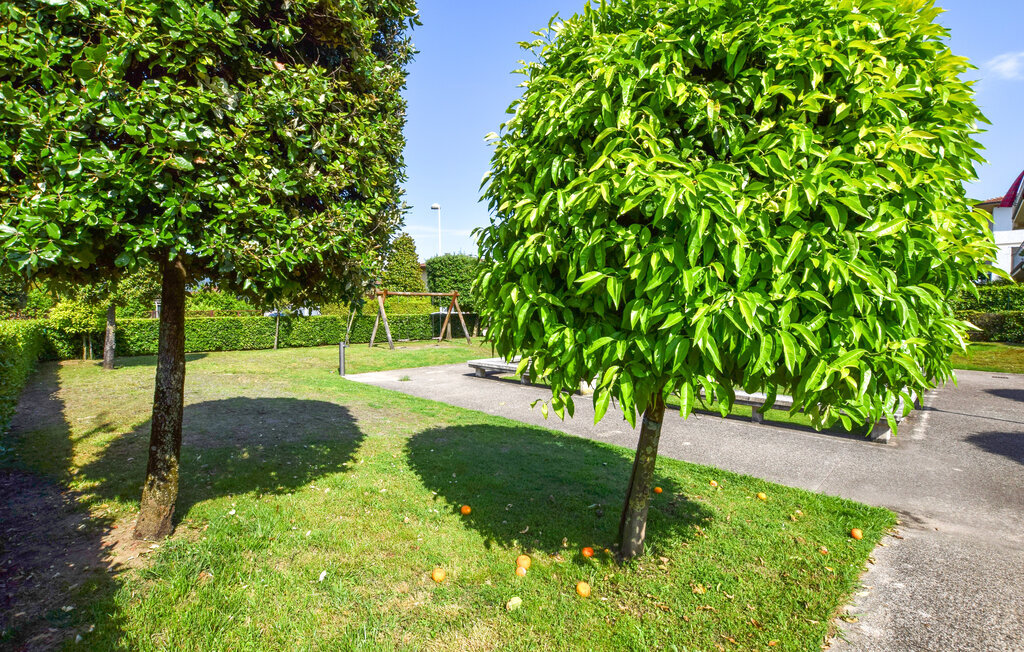 Maison 2 chambres avec jardin à Lido di Camaiore - Photo 16