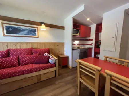 Location appartement à La Plagne Tarentaise, Appartement au calme, animaux OK, vue Mont Blanc