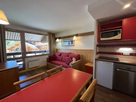 Appartement 4 pers. vue Mont Blanc, piscine chauffée : photo 9