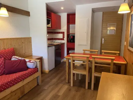 Appartement 4 pers. vue Mont Blanc, piscine chauffée : photo 11