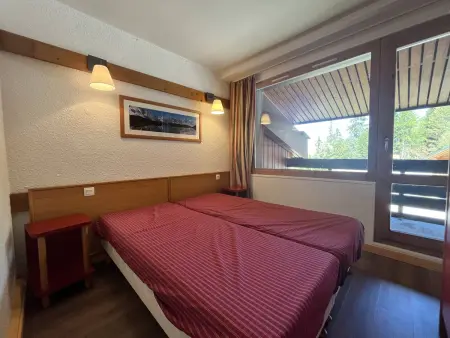 Appartement 4 pers. vue Mont Blanc, piscine chauffée : photo 16