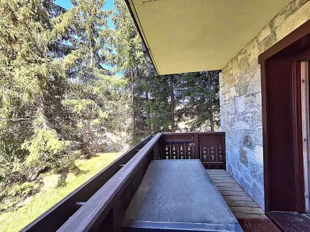 Appartement 3 pièces vue montagne, balcon sud à Méribel : photo 12