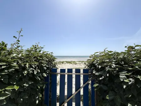 Appartement face mer à La Forêt-Fouesnant, plage directe : photo 14