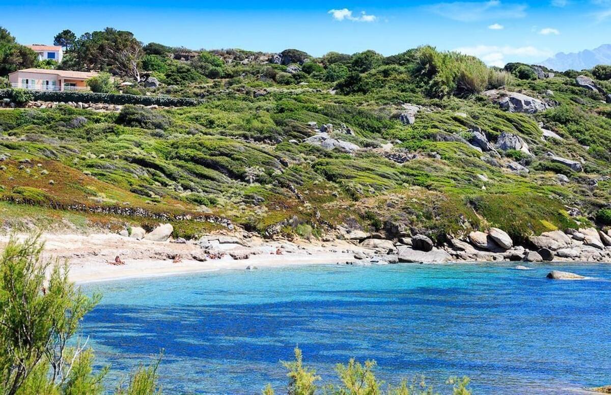 Villa 4 chambres avec piscine et vue mer à Corbara - Photo 13