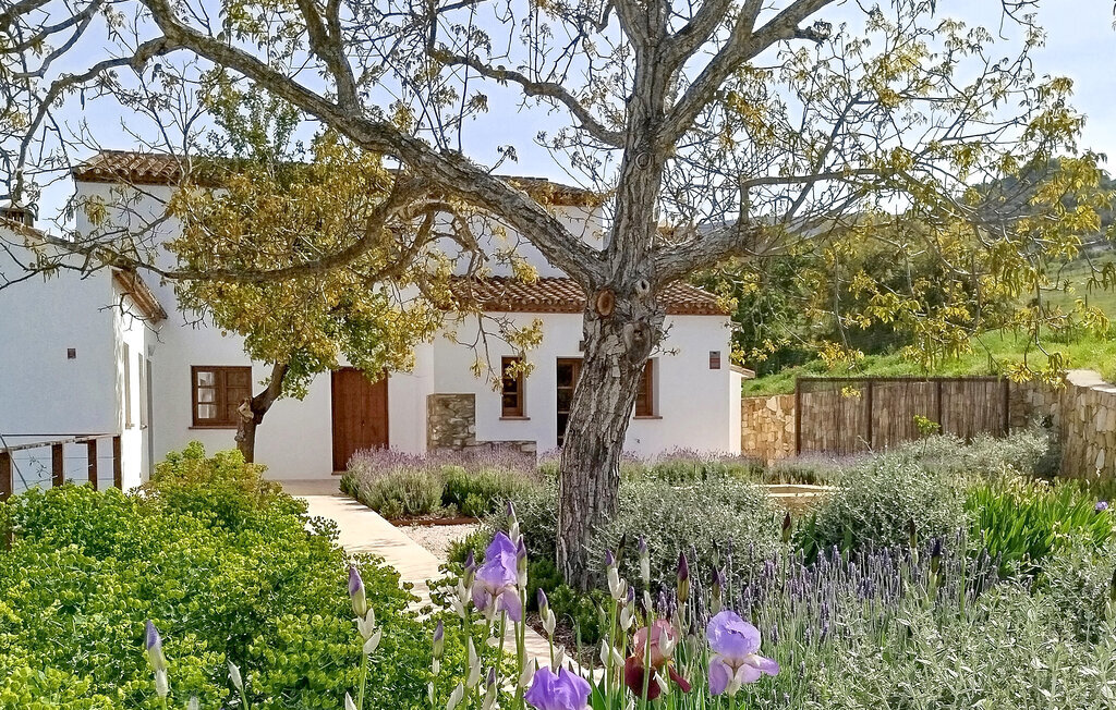 Maison 10 pers. avec piscine privée à Algatocín - Photo 12