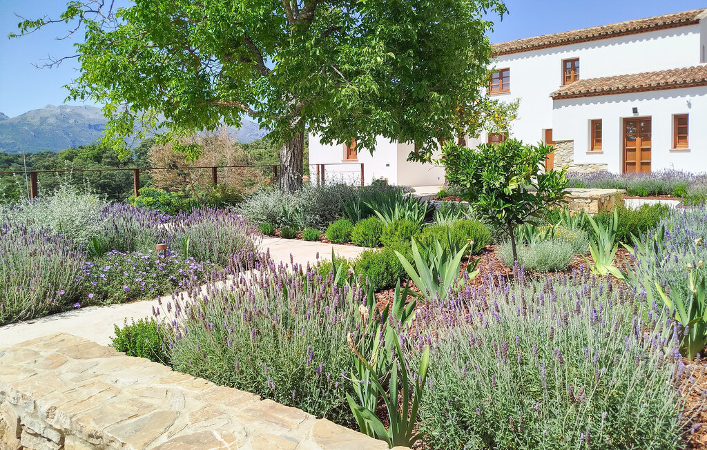 Maison 10 pers. avec piscine privée à Algatocín - Photo 13