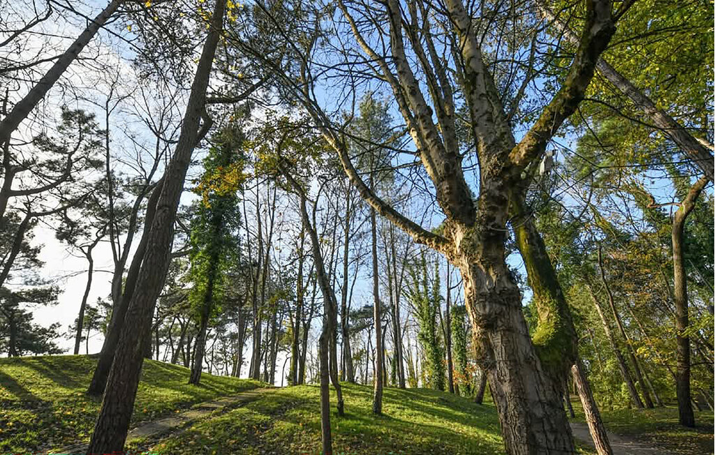 Appartement 35 m² à Étaples, plein air et activités - Photo 18