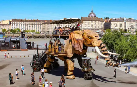 Maison 70 m² avec jardin à Nantes, proche musées : photo 21