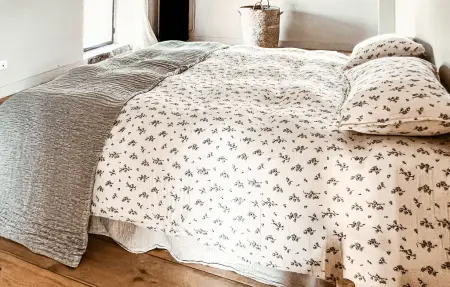 Maison 70 m² en pierre, jardin clôturé à La Boissière : photo 11