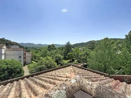 Appartement F4 75 m² terrasse sud, animaux acceptés : photo 10