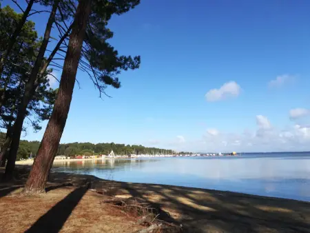 Villa 12 pers. avec piscine chauffée et vue lac à Biscarrosse : photo 11