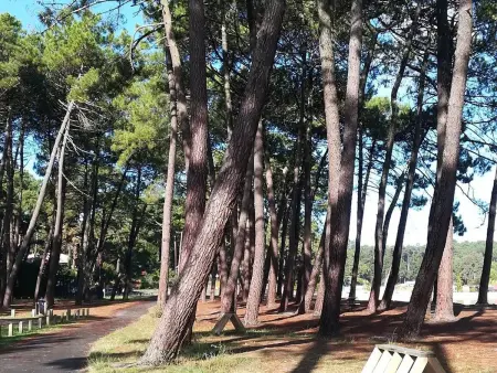 Villa 12 pers. avec piscine chauffée et vue lac à Biscarrosse : photo 20
