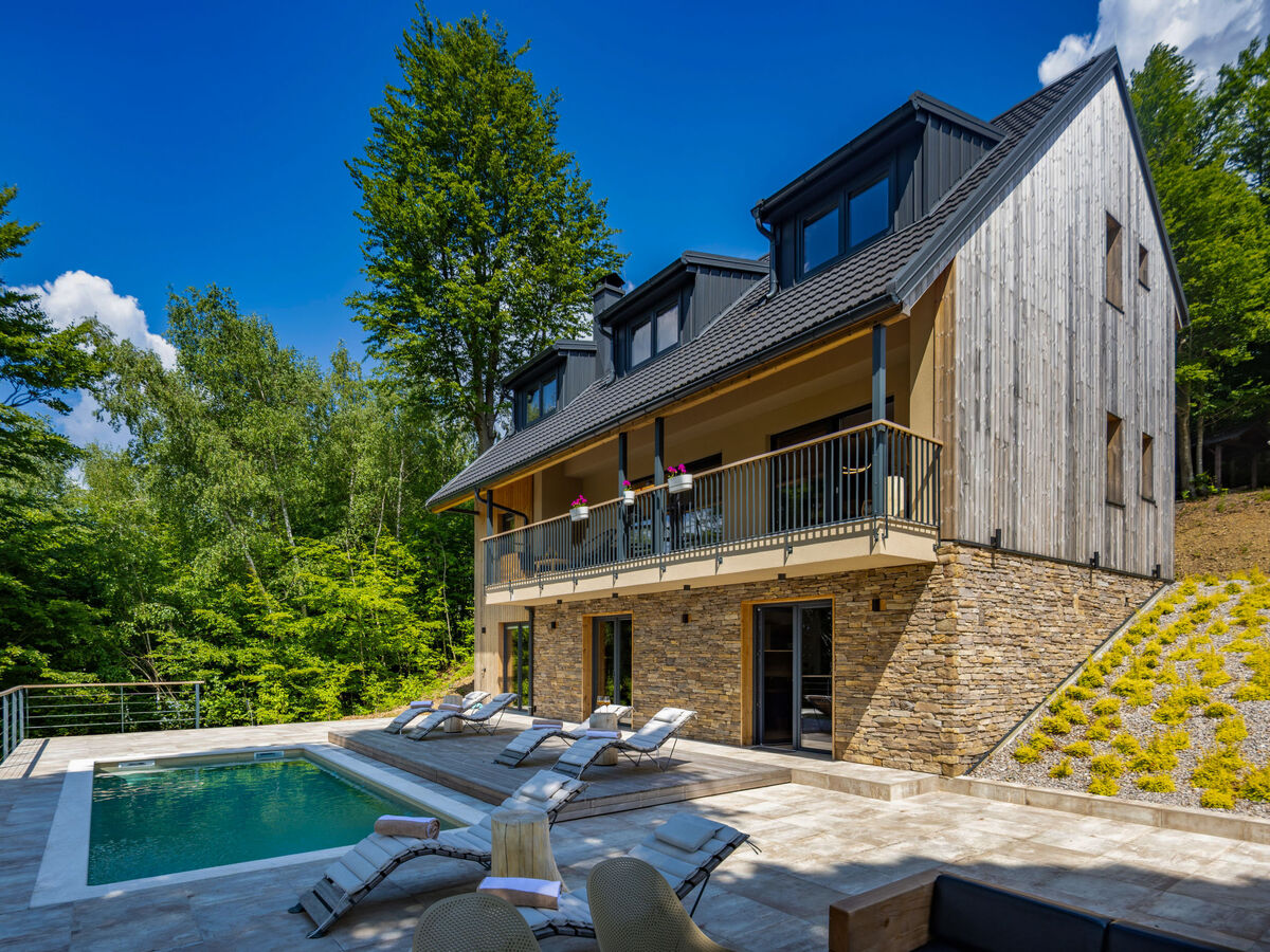 Villa Vrh à Fužine : 10 personnes, piscine chauffée - Photo 3
