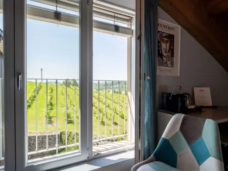 Guesthouse Dellavalle – Maison 10 pers. avec piscine : photo 24