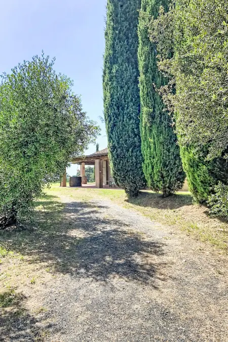 La Mimosa, maison 3 pièces à Casale Marittimo : photo 44